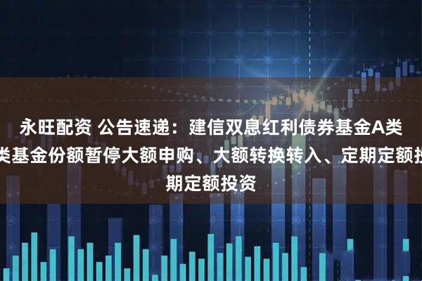永旺配资 公告速递：建信双息红利债券基金A类/C类基金份额暂停大额申购、大额转换转入、定期定额投资