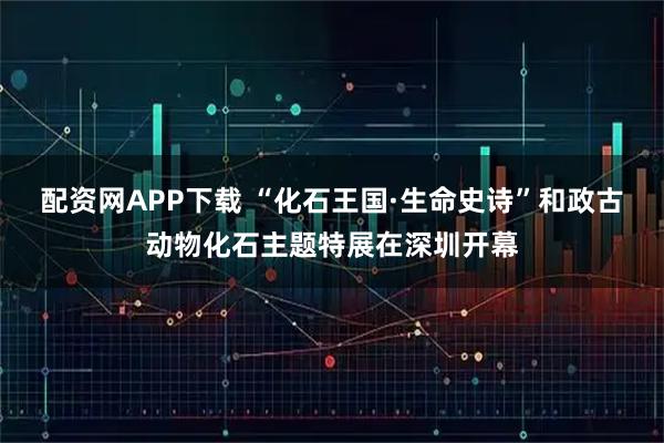 配资网APP下载 “化石王国·生命史诗”和政古动物化石主题特展在深圳开幕