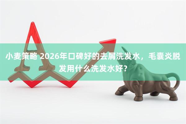 小麦策略 2026年口碑好的去屑洗发水，毛囊炎脱发用什么洗发水好？