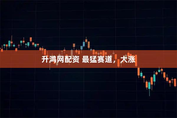升鸿网配资 最猛赛道，大涨