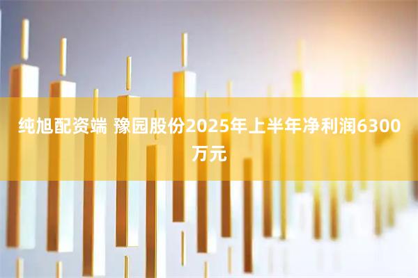 纯旭配资端 豫园股份2025年上半年净利润6300万元